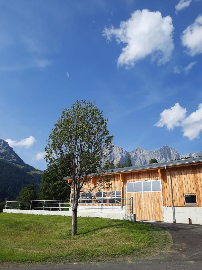 Appartement Muehlebnerhof Ramsau am Dachstein Exterior photo
