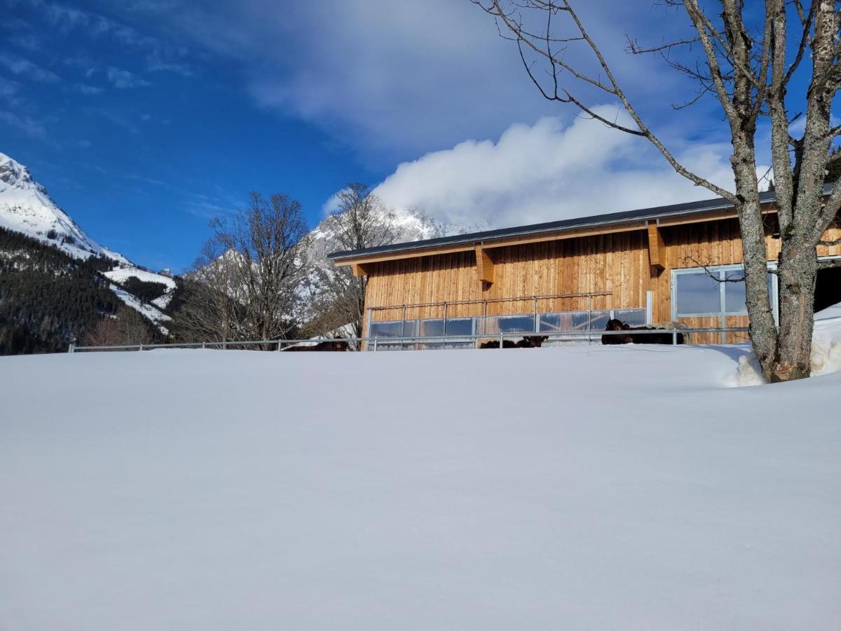 Appartement Muehlebnerhof Ramsau am Dachstein Exterior photo